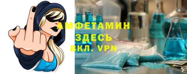 СК Дмитров