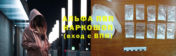 дмт Дмитриев