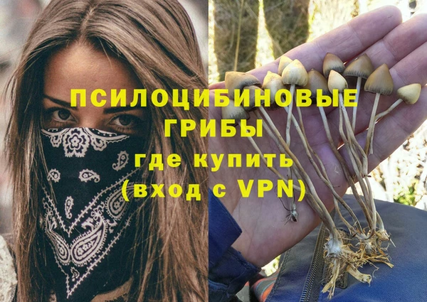 мяу мяу мука Осташков