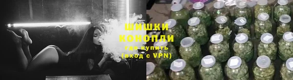 СК Дмитров