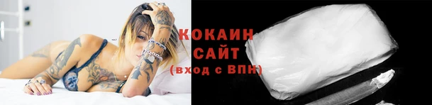 кокс Дмитровск