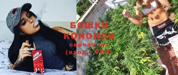 дмт Дмитриев
