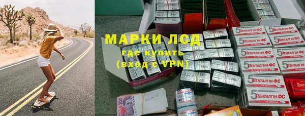 СК Дмитров