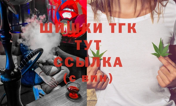 СК Дмитров