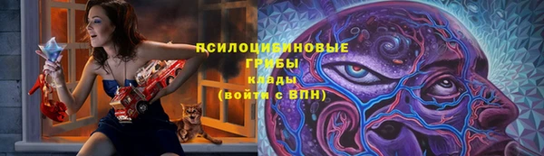 дмт Осинники