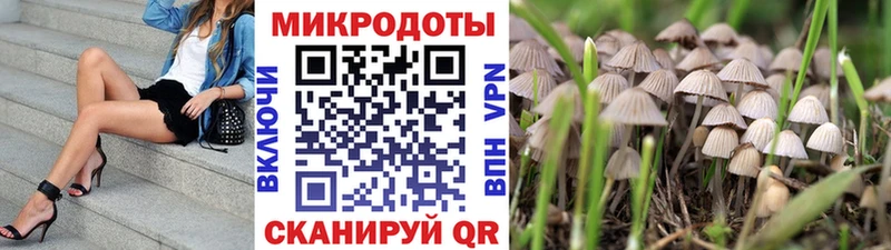 Купить  Дегтярск  Галлюциногенные грибы Cubensis 